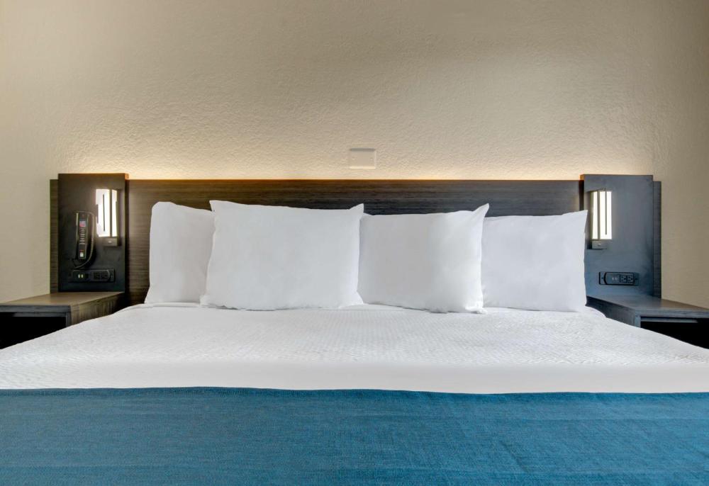 1 King Bed | Premium, Micfridge interior